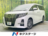 両側電動ドア 純正9型ナビ 後席モニター バックカメラ