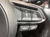 ミリ波レーダーで先行車との速度差や車間距離を認識。設定した車速内での車間距離を自動で調整・維持して、アクセル・ブレーキの操作なしで長距離ドライブの負担も軽減してくれます。