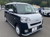 ムーヴキャンバス  ストライプス G
