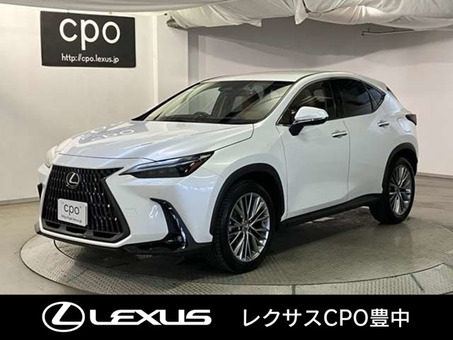 NX 250 バージョンL NX 250 バージョンL