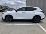NX 350h Fスポーツ 