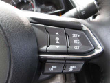 ステアリングスイッチで、先行車に自動追従するアダプティブクルーズコントロールが作動可能。設定した車速内での車間距離を自動で調整・維持。高速道路の渋滞時もアクセル・ブレーキ操作から解放されます。