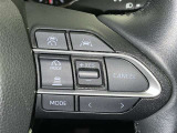 ステアリングスイッチ付き。前方から目を離すことなく操作することが可能です。