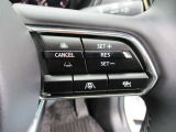 ステアリングスイッチで、先行車に自動追従するアダプティブクルーズコントロールが作動可能。設定した車速内での車間距離を自動で調整・維持。高速道路の渋滞時もアクセル・ブレーキ操作から解放されます。