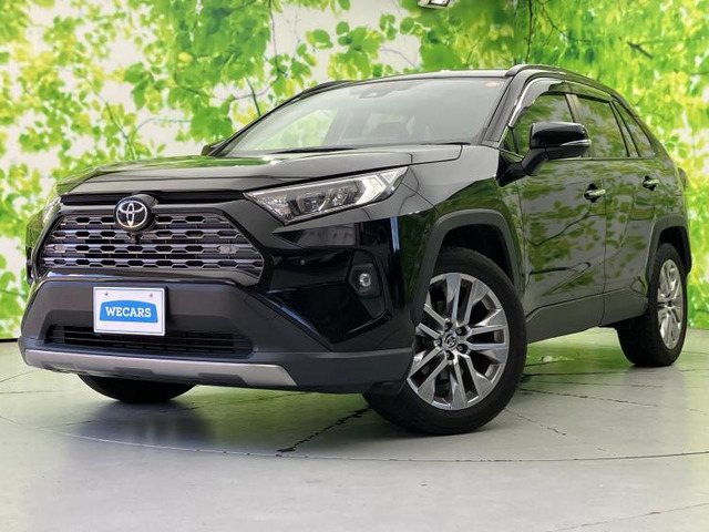 RAV4 2.0 G Zパッケージ 4WD 