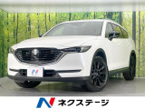 純正10型ナビ 全周囲カメラ 衝突被害軽減システム レーダークルーズ