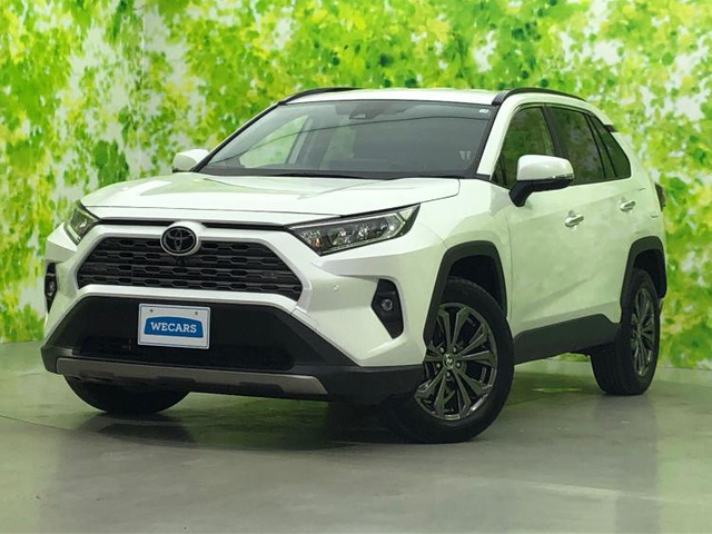 RAV4 2.0 G 4WD 