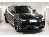 ステルスプロテクションでマット化されております。