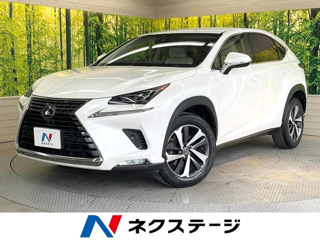 NX 300 バージョンL 