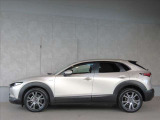 コンパクトSUV!全長439cm全幅179cm全高154cm