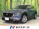 禁煙車 純正SDナビ 全周囲カメラ BOSEサウンド レーダークルーズ