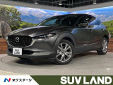 メーカーナビ 衝突軽減 レーダークルーズ 電動リアゲート バックカメラ