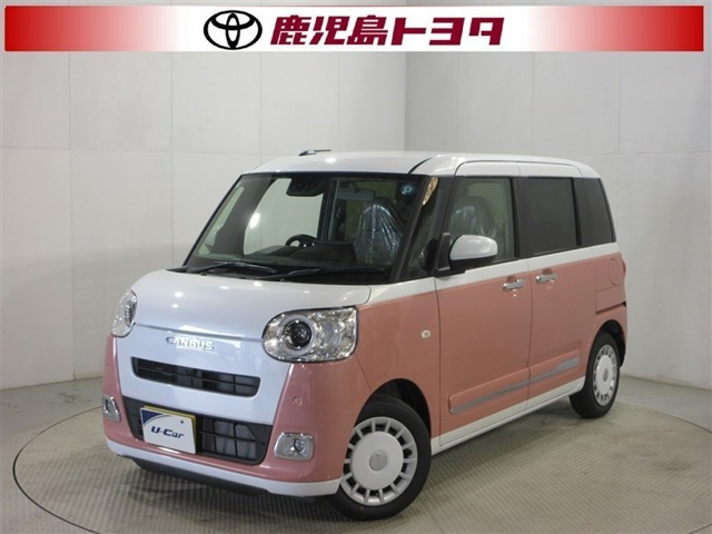 ムーヴキャンバス  ストライプス G