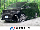 ガラスルーフ 両側電動ドア 後席モニター 全周囲カメラ 100V電源