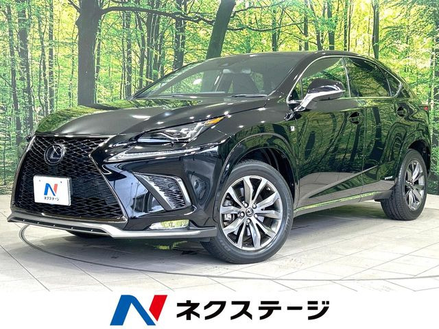 NX 300h Fスポーツ 