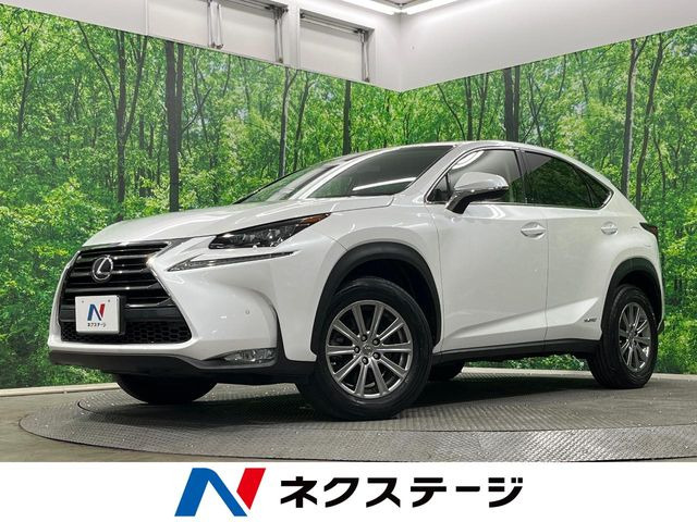 NX 300h Iパッケージ