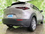 CX-30 2.0 20S 