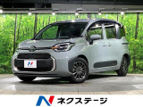 純正10型ナビ 両側電動ドア 全周囲カメラ 衝突被害軽減システム