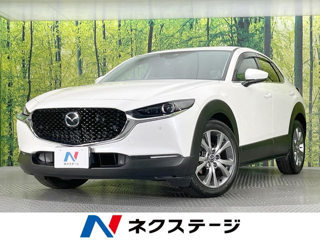 CX-30 2.0 20S プロアクティブ 