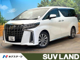 禁煙車 両側電動ドア 9インチ純正ナビ バックカメラ 100V電源
