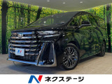 レーダークルーズ  禁煙車 電動リアゲート レザーシート