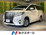 BIG-X11型ナビ 後席モニター 両側電動スライドドア バックカメラ