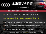 A3スポーツバック Sライン ブラック スタイリング 