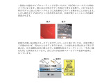 購入後のサポートは、全国のメルセデス・ベンツ正規サービスネットワークへ。