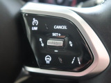 アダプティブクルーズコントロールは、前方の車両の速度に合わせて安全な車間を保ち、先進のクルージングをサポート。安心ができ、より快適なドライブをサポートいたします。