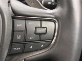 前方の車との車間を設定し、スピードを上げたり緩めたりを自動で行ってくれる追尾式の「レーダークルーズ」。上級装備の一つです!高級車にしかつかない嬉しい機能です。