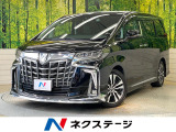 モデリスタ 両側電動ドア BIGX11ナビ 後席モニター バックカメラ