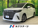 両側電動ドア 14型純正ナビ12型後席モニター 全周囲カメラ