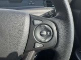 アダプティブクルーズコントロール】予め設定した車速内でクルマが自動的に加減速。前走車との適切な車間距離を維持しながら追従走行します。【LKAS】車線維持支援システムでステアリング操作を支援。
