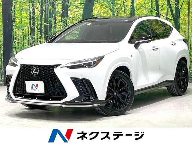 NX 350h Fスポーツ 