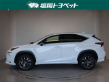 NX 300h Fスポーツ 