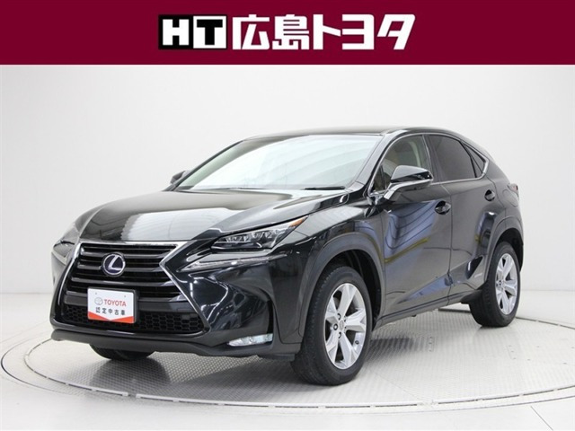 NX 300h Iパッケージ 
