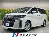 BIG-X11型ナビ 後席モニター バックカメラ レーダークルーズ