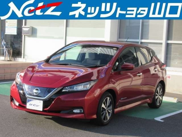 リーフ X 