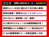 アルファード 2.5 S タイプゴールド 20インチAW 後席モニター サンルーフ