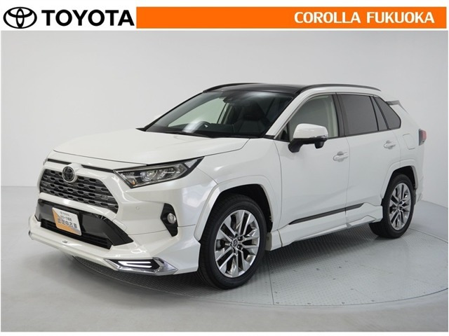 RAV4 2.0 G Zパッケージ 4WD