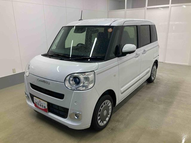 ムーヴキャンバス  セオリー G
