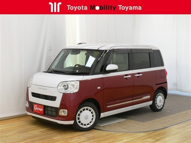 ムーヴキャンバス  ストライプス G
