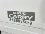 この量まで車に積載することができます。 沢山、積載できるので色んな使い方が出来ちゃいますね。