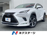 モデリスタエアロ 純正10型SDナビ 禁煙車 全周囲カメラ