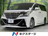 モデリスタエアロ 11型BIG-X バックカメラ 両側電動スライドドア