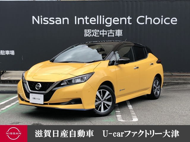 リーフ e+ X 