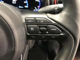 ステアリングスイッチ付き。前方から目を離すことなく操作することが可能です。