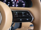 右手は「アダプティブクルーズコントロール」の操作を行えます。