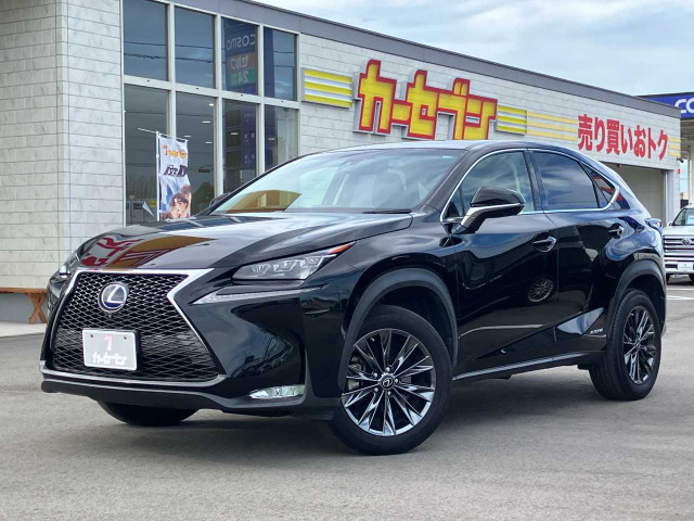 NX 300h バージョンL 