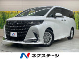 モデリスタエアロ 純正9.8型DA 全周囲カメラ サイドステップ